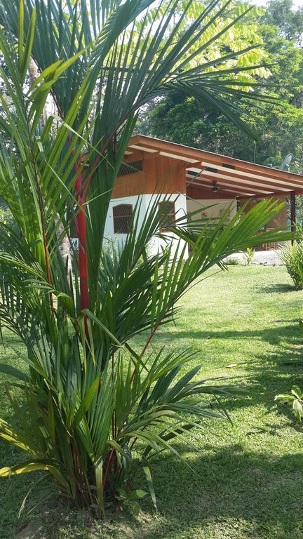 Los Delfines Lodge Puerto Viejo de Talamanca Quarto foto